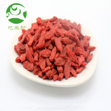 Baies de goji fraîches vente chaude aliments entiers baies de goji goji séchées